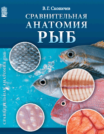 Сравнительная анатомия рыб: учебное пособие ISBN 978-5-903090-72-3